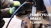 Why Flushing Your Car S Brake Fluid Is Important Driving Drivingtips Road777